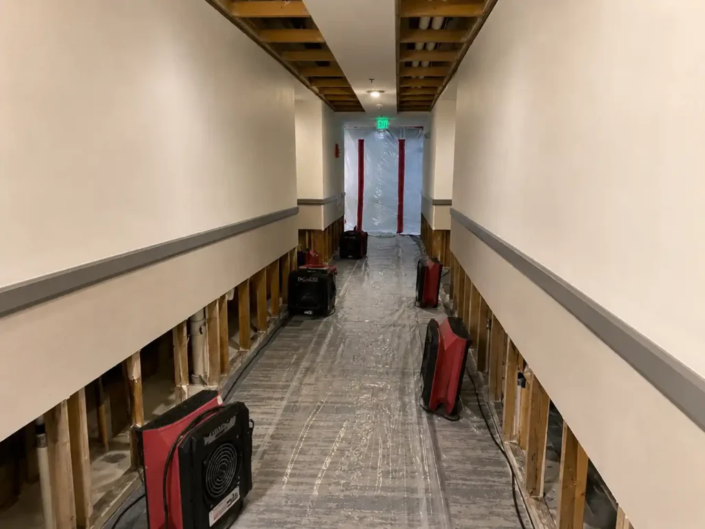 Water Damage Restoration Cost: What Affects the Final Repair Bill?